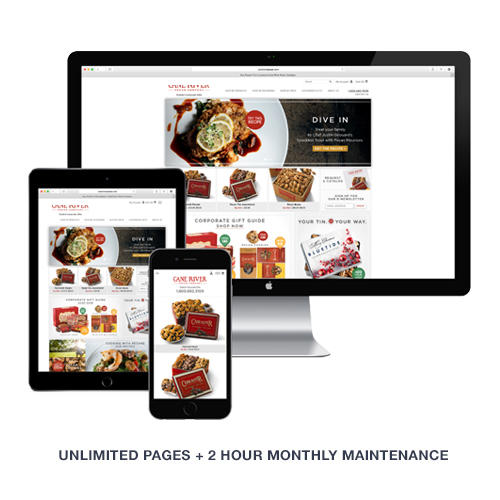 Website Standard Package